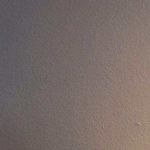 Meet your Posher, Leon